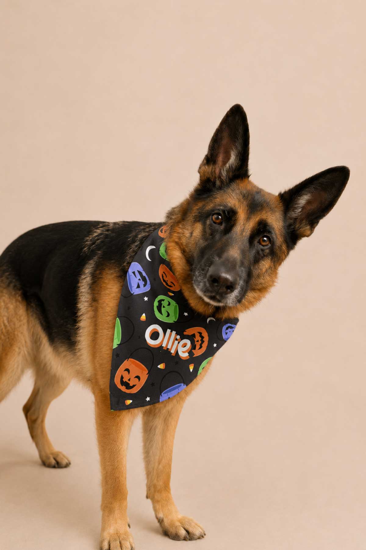 Personalized Halloween Pet Bandana | Candy Crawl