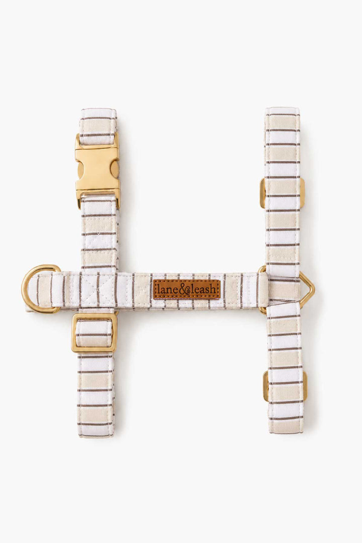 Top-down flat-lay view of Biscuit Stripe dog harness showing the H-frame structure with gold-tone buckles, D-rings, and a center leather brand tag