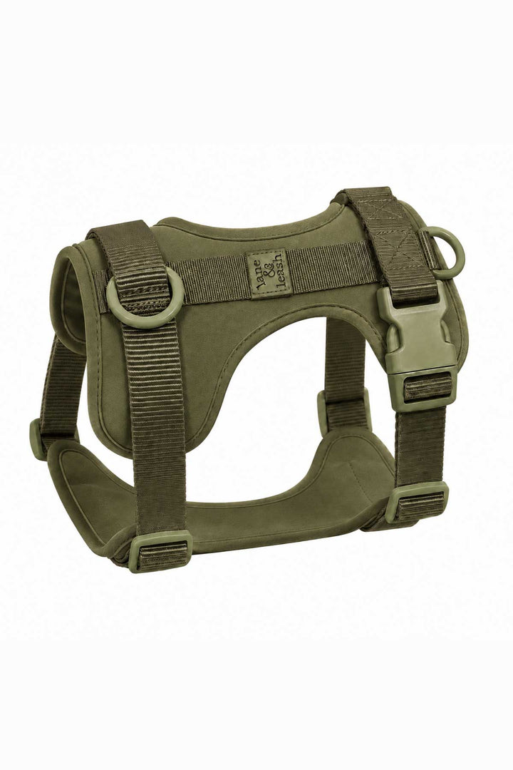 Padded dog harness in clover olive green, showing structured design with adjustable buckle straps, D-rings, and padded chest panel on white background