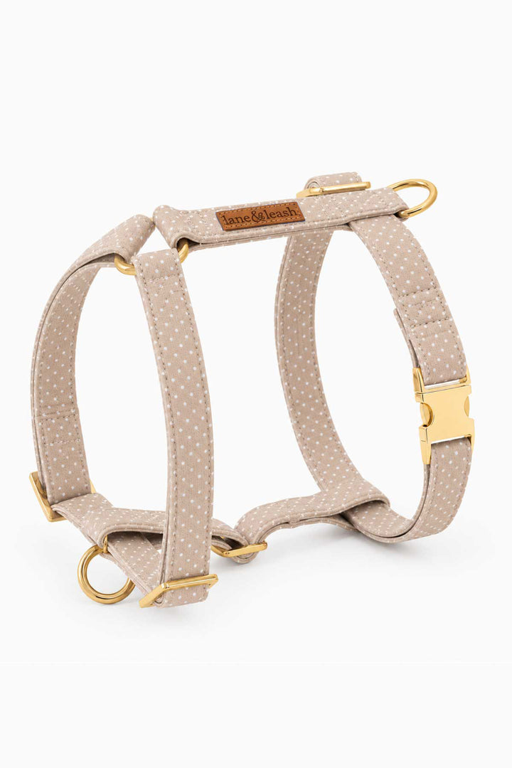 Latte brown polka dot H-style strap dog harness with gold buckles and D-rings on a white background