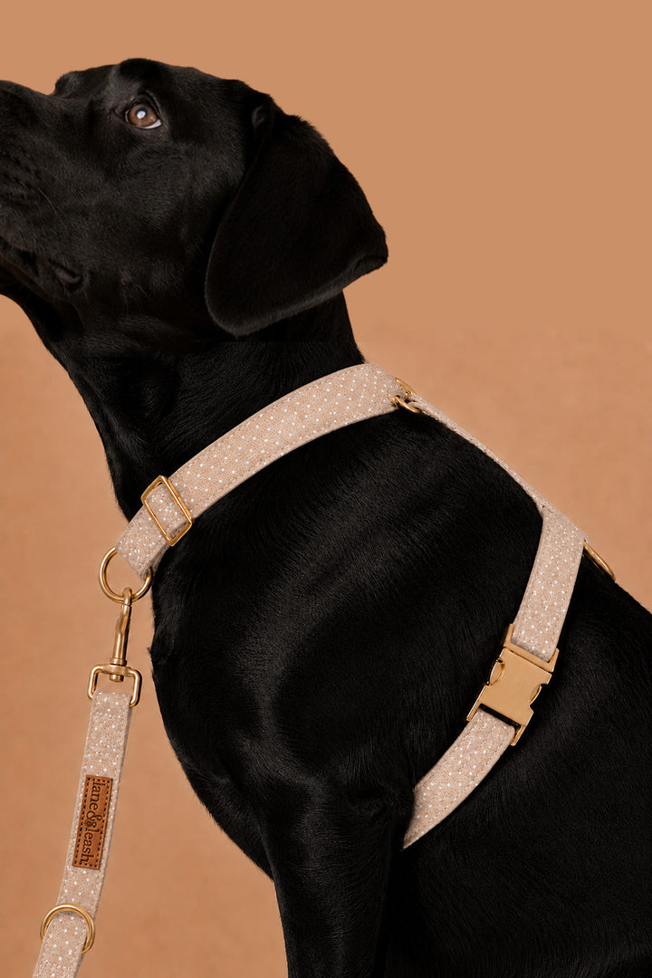 Side view of a black dog wearing the latte brown polka dot strap harness with a matching leash and gold hardware