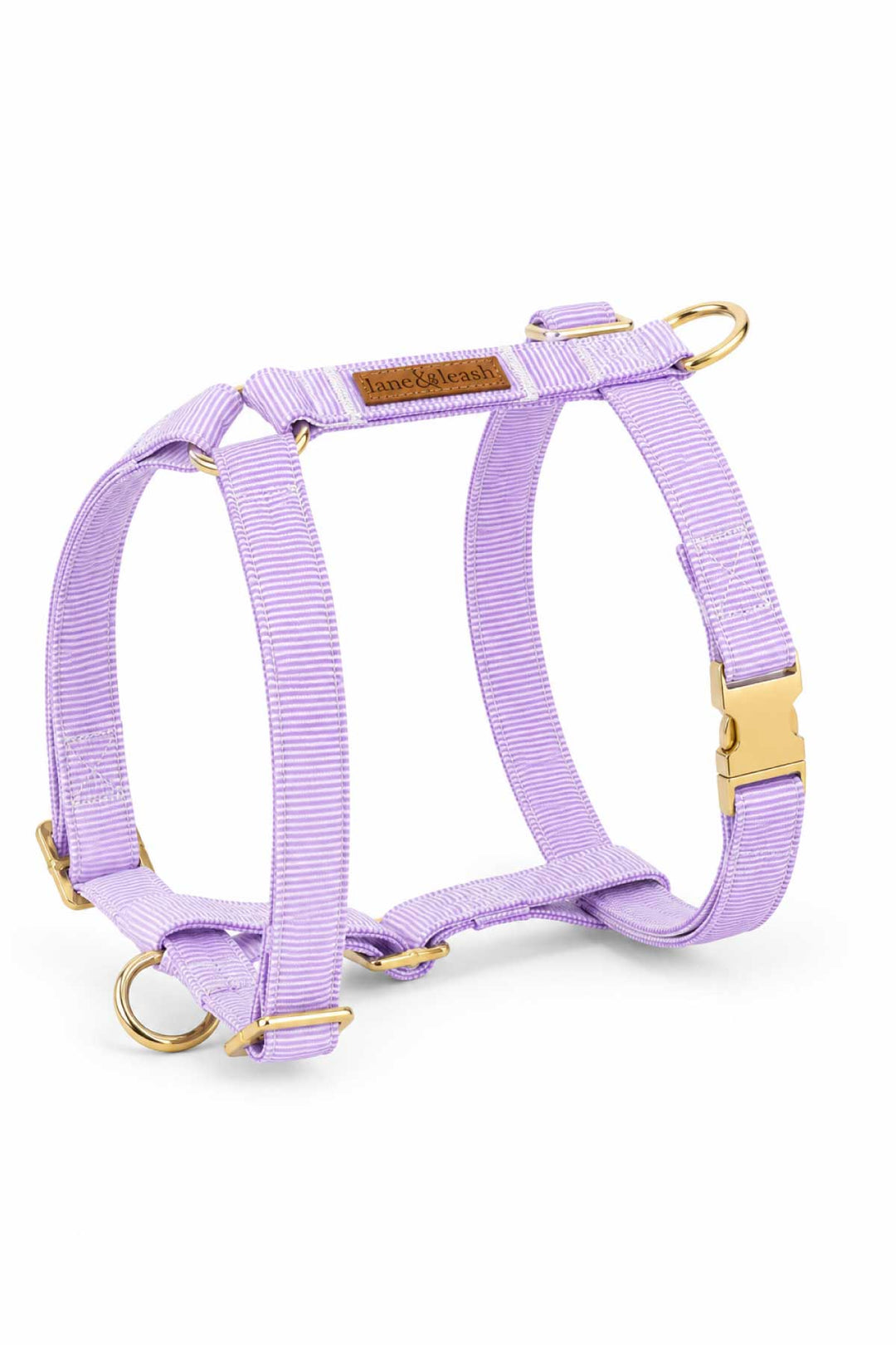 Solid lavender H-style strap dog harness with gold hardware buckles and D-ring attachment points, on white background