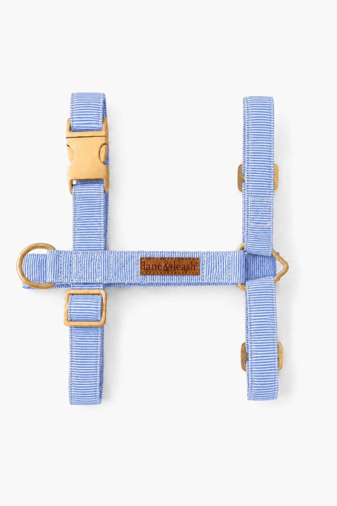 Flat lay of Morning Mist light blue H-style strap dog harness showing the full H-shaped design with gold metal buckles and D-rings, brown leather Caden Lane tag visible