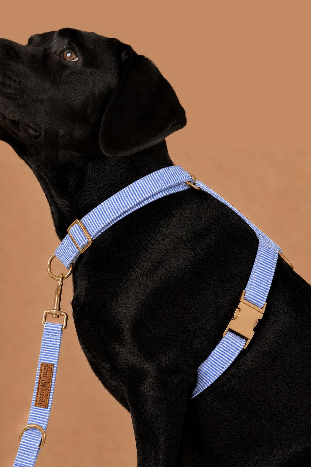 side view of morning mist harness