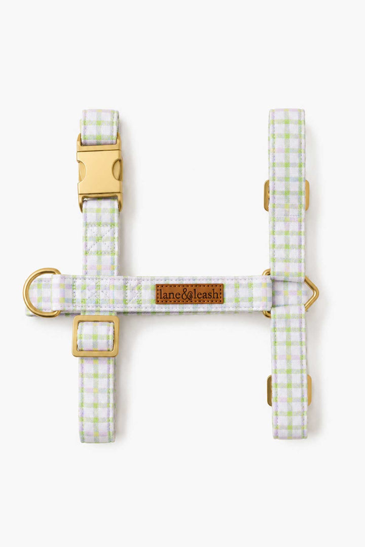 Picnic plaid strap dog harness shown flat in H-shape, displaying all straps, gold buckles, D-rings, and the Lane & Leash branded label in the center