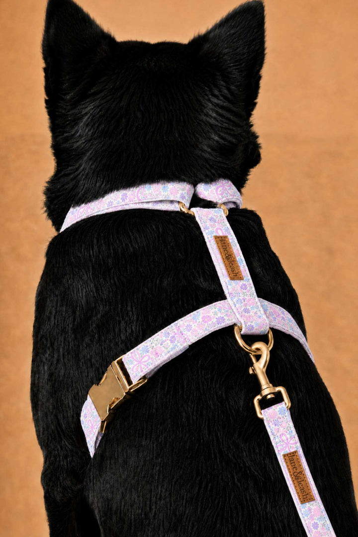 Back view of a dark dog wearing the Ribbon Garden strap harness, showing the H-shape across the back with gold hardware, on a warm tan studio background
