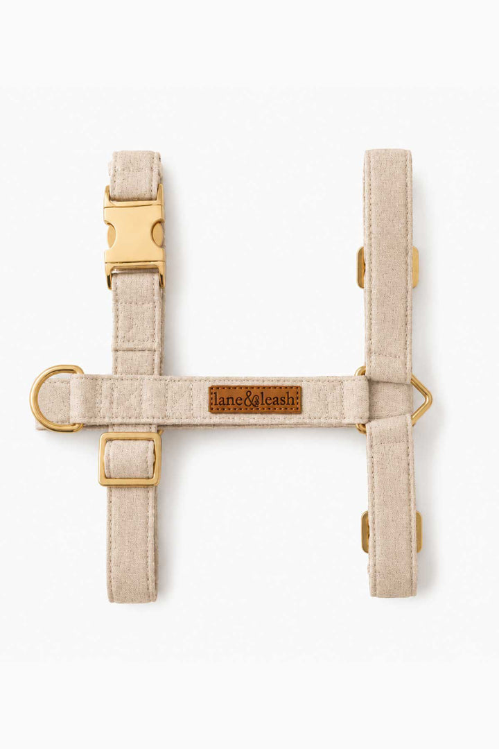Flat lay of Caden Lane sand dune strap dog harness showing H-style design with adjustable straps and gold D-ring hardware