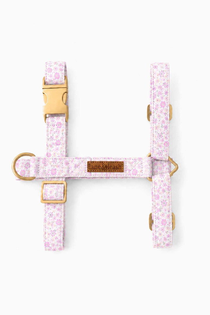Front flat lay of Scattered Blooms dog harness showing the H-style strap layout with gold buckle, D-rings, and adjustable straps