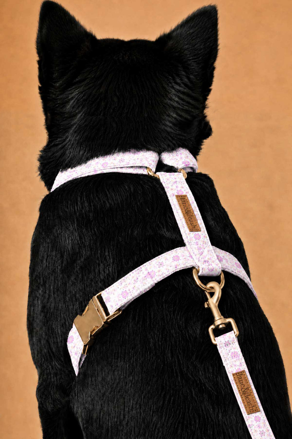 Back view of a dog wearing the Scattered Blooms strap harness, showing gold back D-ring with leash clipped in and the floral print straps