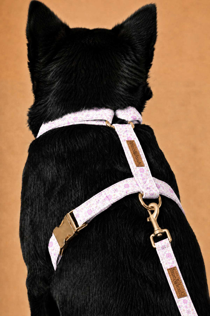 Back view of a dog wearing the Scattered Blooms strap harness, showing gold back D-ring with leash clipped in and the floral print straps
