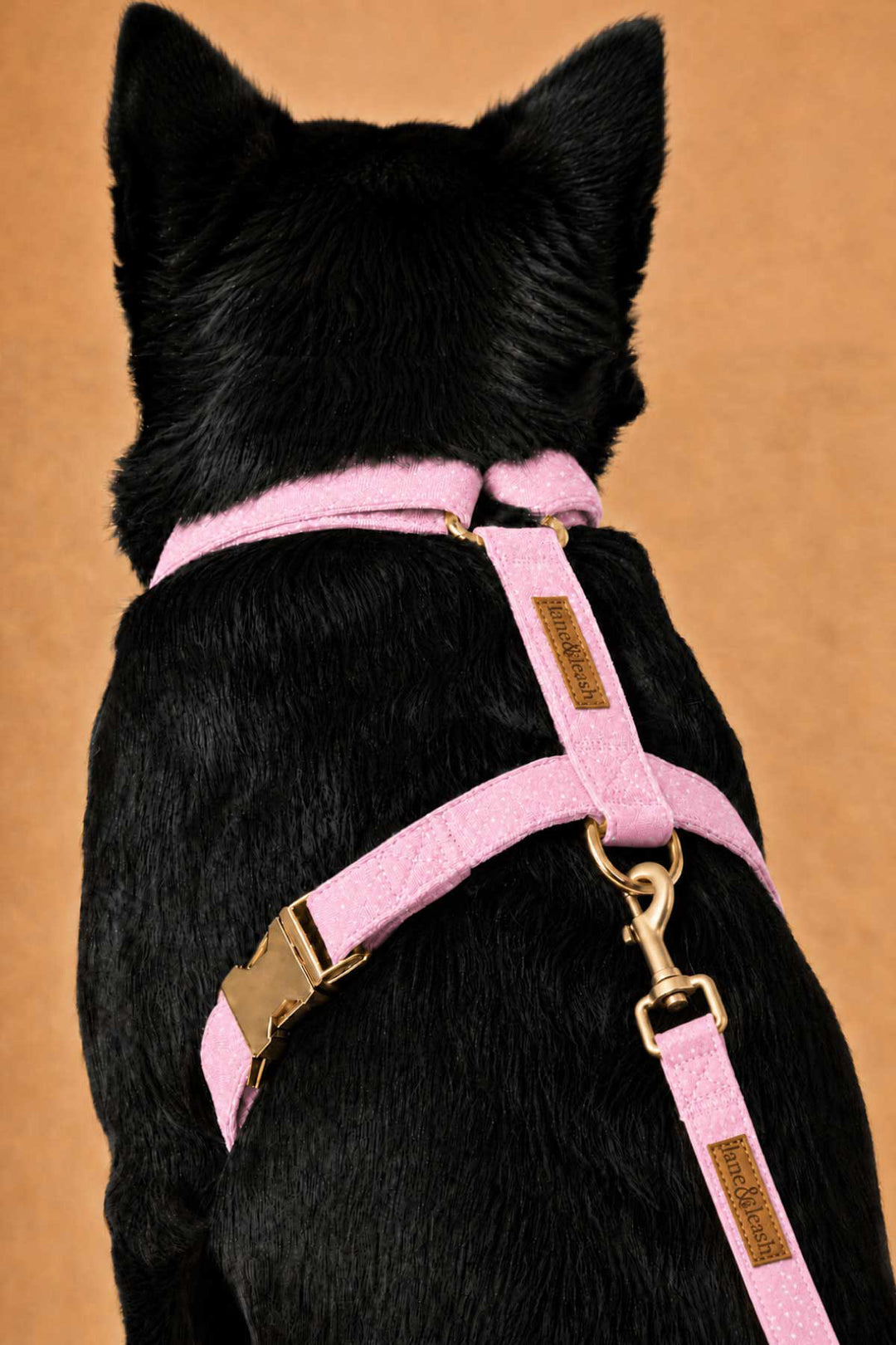 Back view of a black dog wearing the Sweet Pea Spots pink polka dot strap harness with gold buckle and D-ring, shown with a matching leash attached