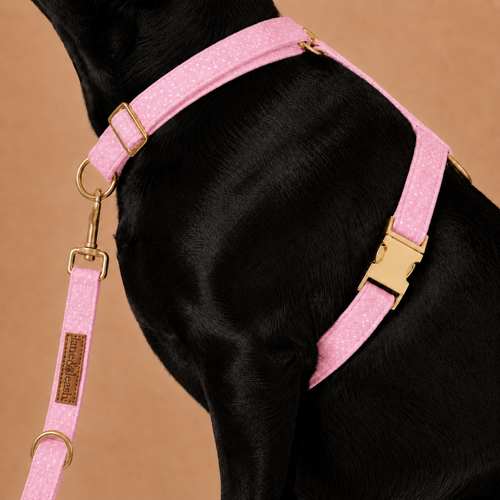 Side view of a black dog wearing the Sweet Pea Spots pink polka dot strap harness, highlighting the chest strap, gold buckle, and matching leash