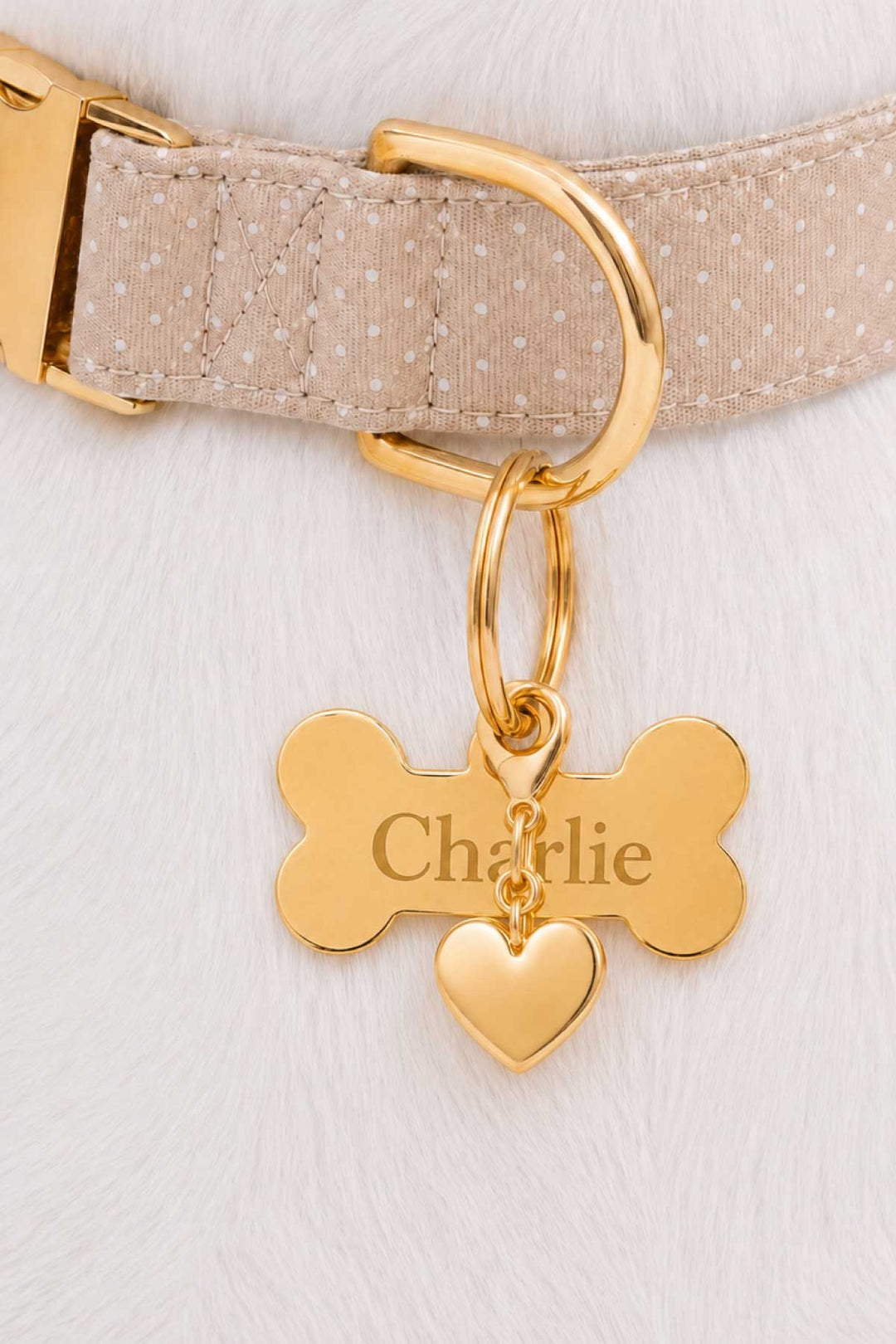 latte spots collar with bone id tag and heart charm
