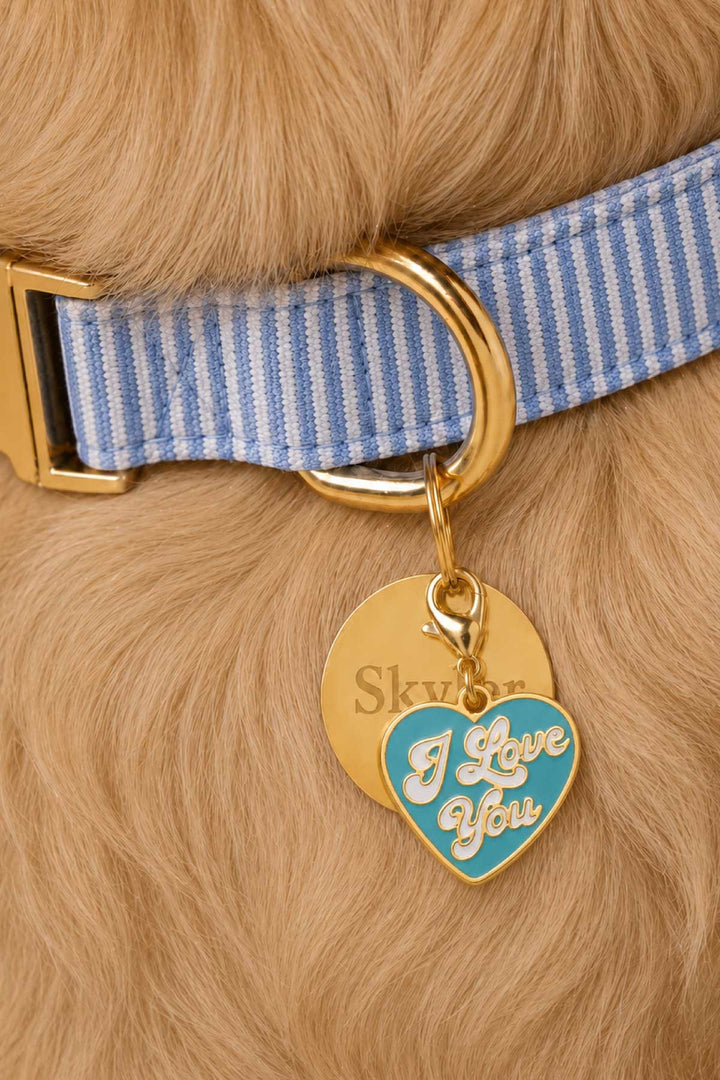 morning mist collar with circle id tag and i love you heart charm