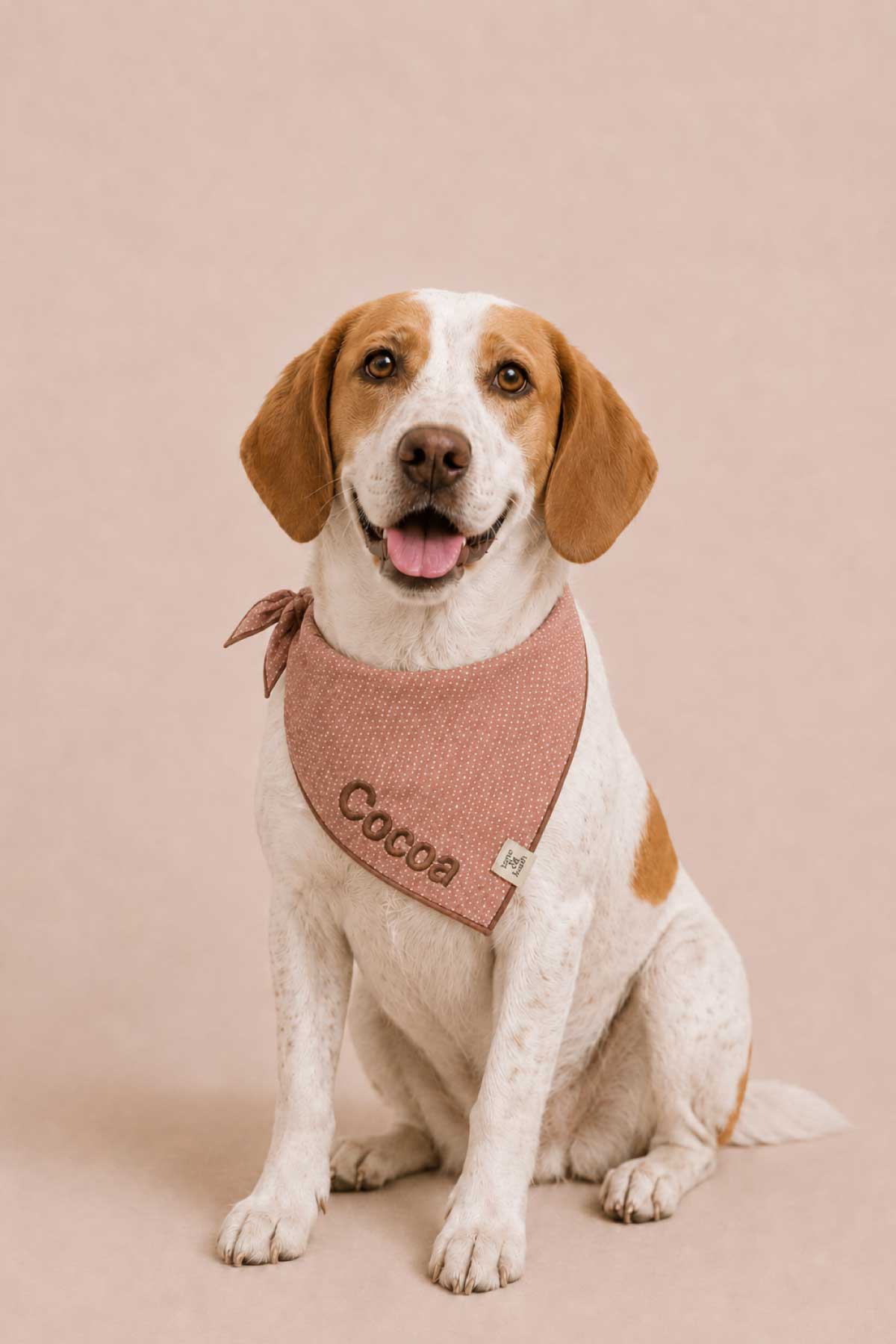Embroidered Pet Bandana | Latte Spots