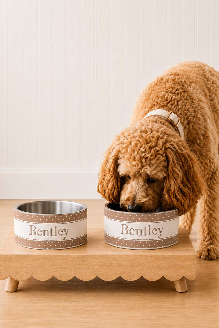 Apricot poodle eating from a double set of personalized latte brown polka dot pet bowls labeled 'Bentley' on a wooden raised feeder stand