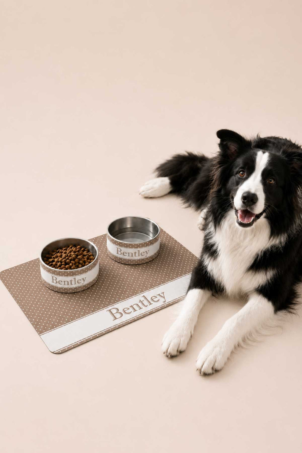 latte spots dog bowls and placemat