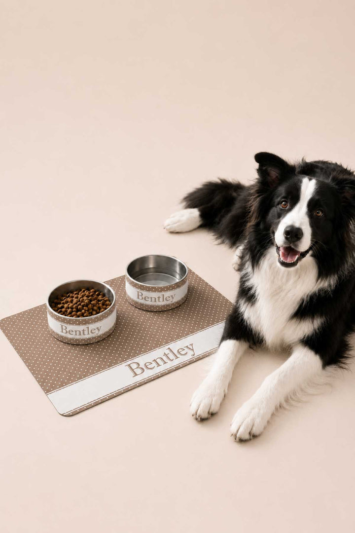 latte spots dog bowls and placemat