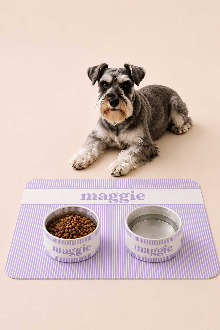 lavender stroll pet bowls and placemat