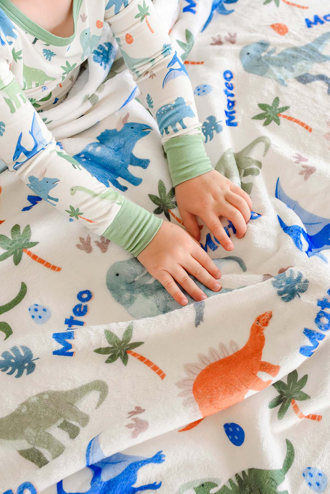 prehistoric themed personalized blanket 