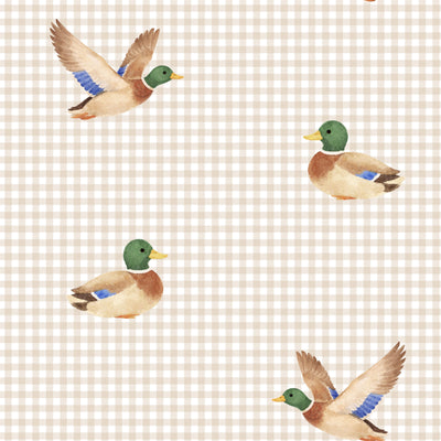 LITTLE MALLARD