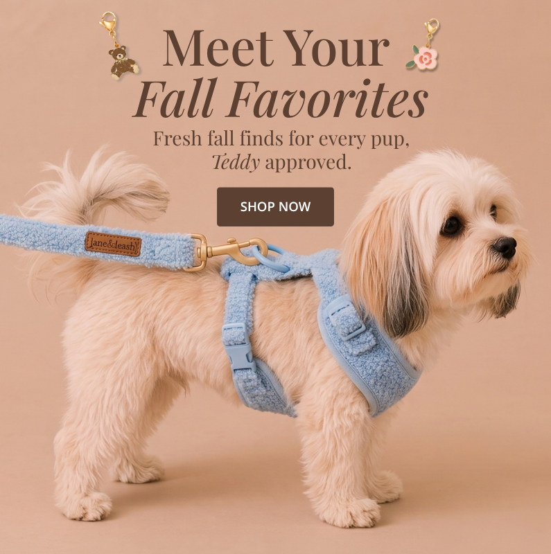 Lane & Leash Hero Carousel readying Meet Your Fall Favorites. Fresh fall finds for every pup, Teddy approved. SHOP NOW 