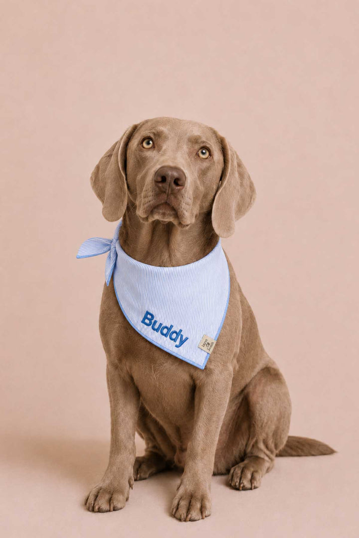 morning mist embroidered bandana on big dog