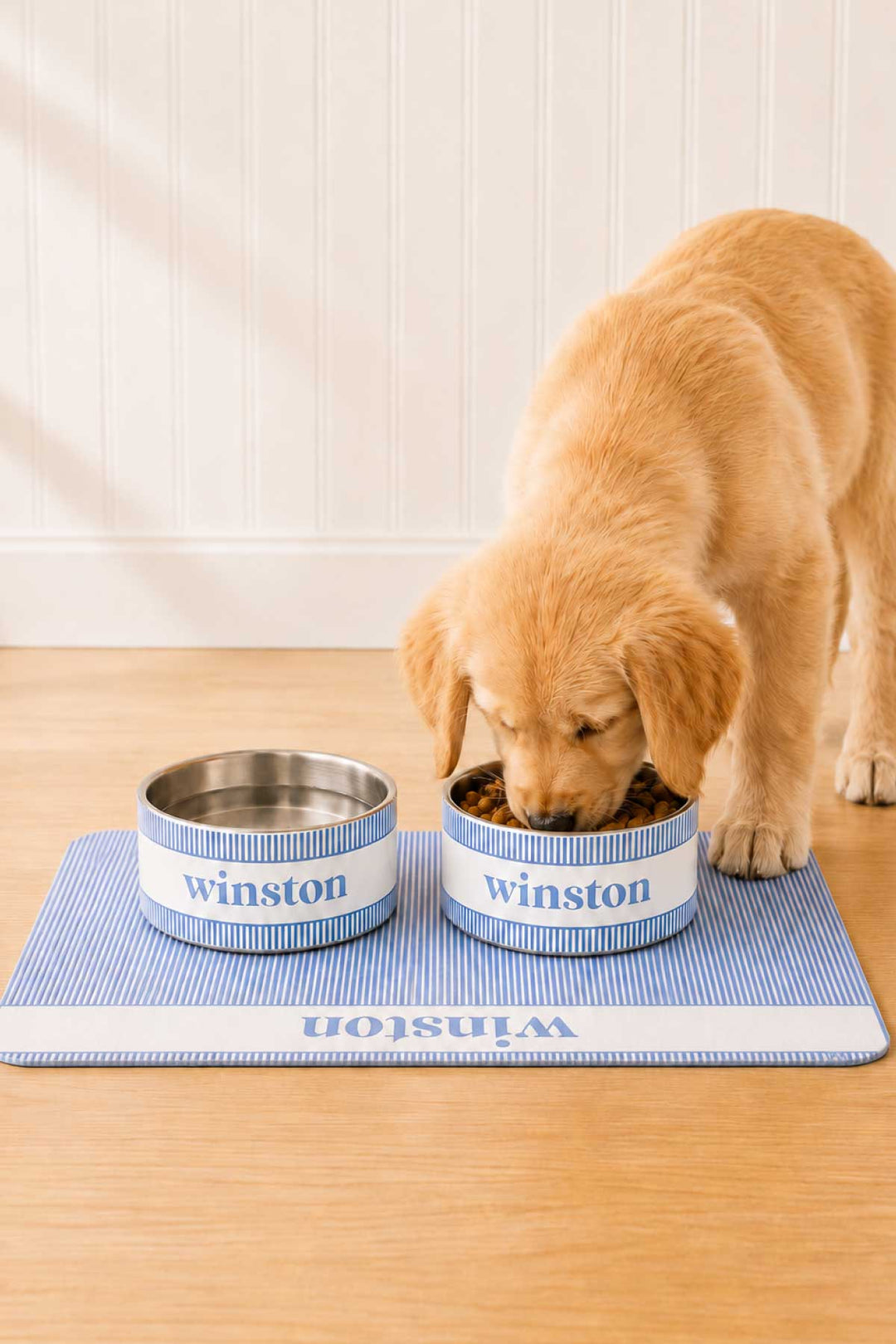 Golden retriever puppy eating from two Morning Mist personalized stainless steel pet bowls with Winston printed in navy, placed on a matching Morning Mist striped placemat