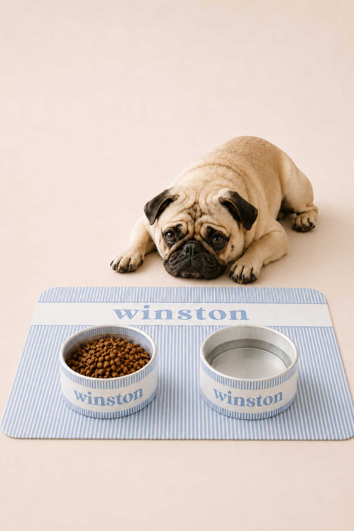 morning mist pet bowls and placemat