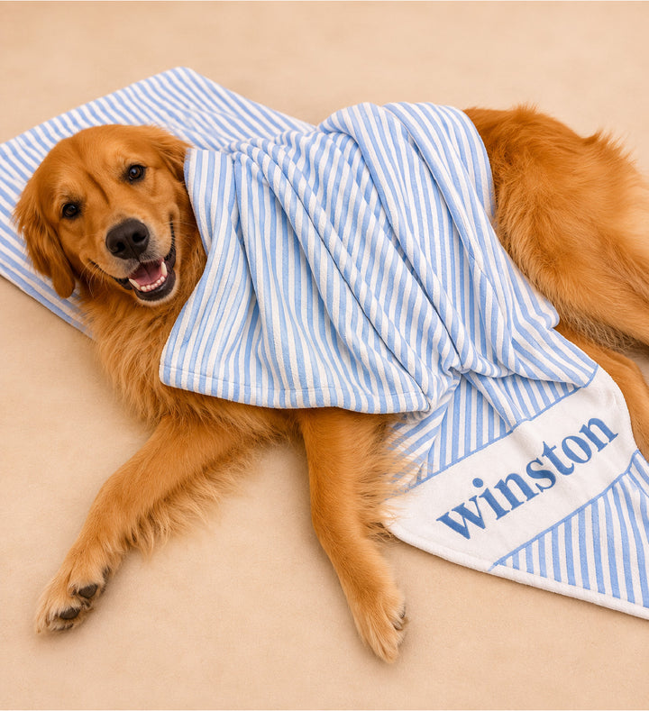 Golden retriever lying on the floor draped with the Morning Mist blue and white striped personalized pet blanket with "Winston" embroidered in navy blue