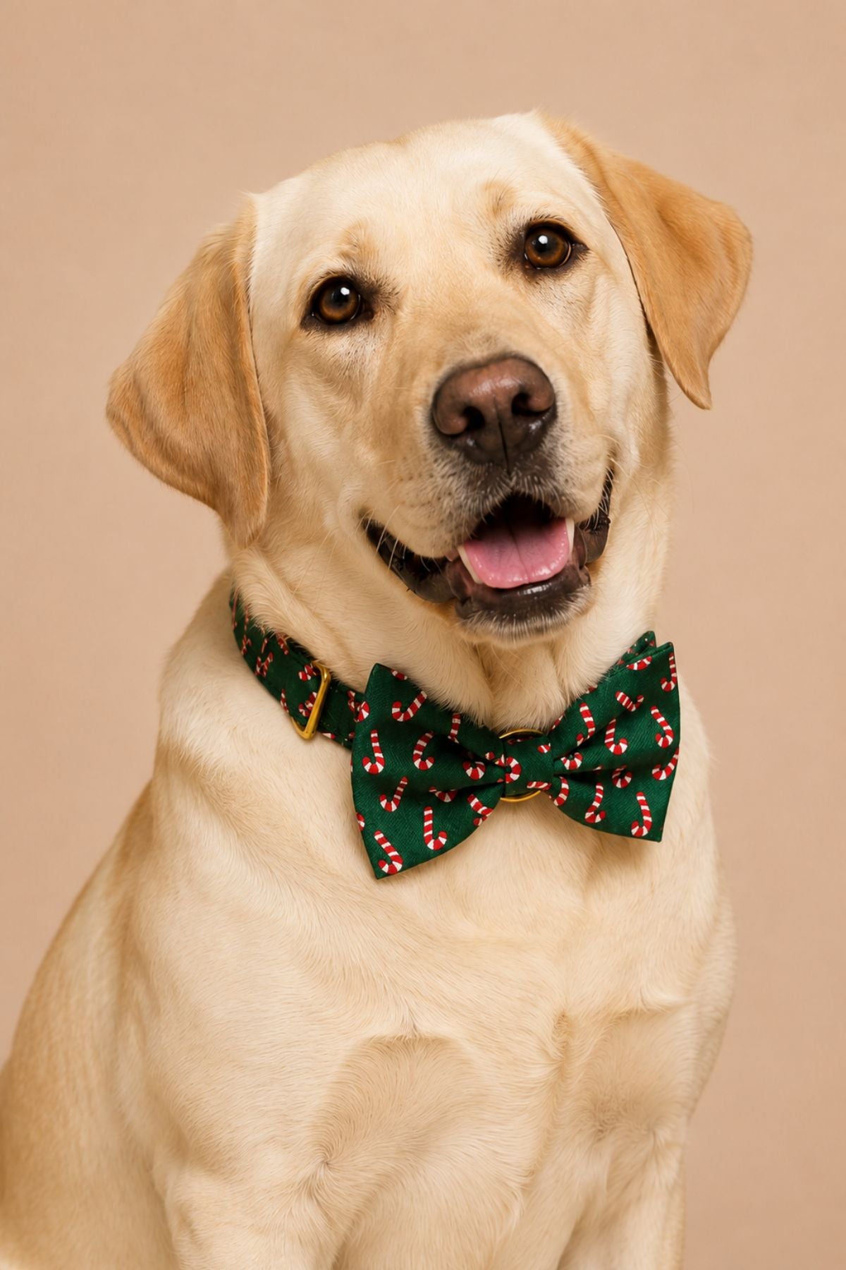 Christmas Pet Bow Tie | Peppermint Stroll Green