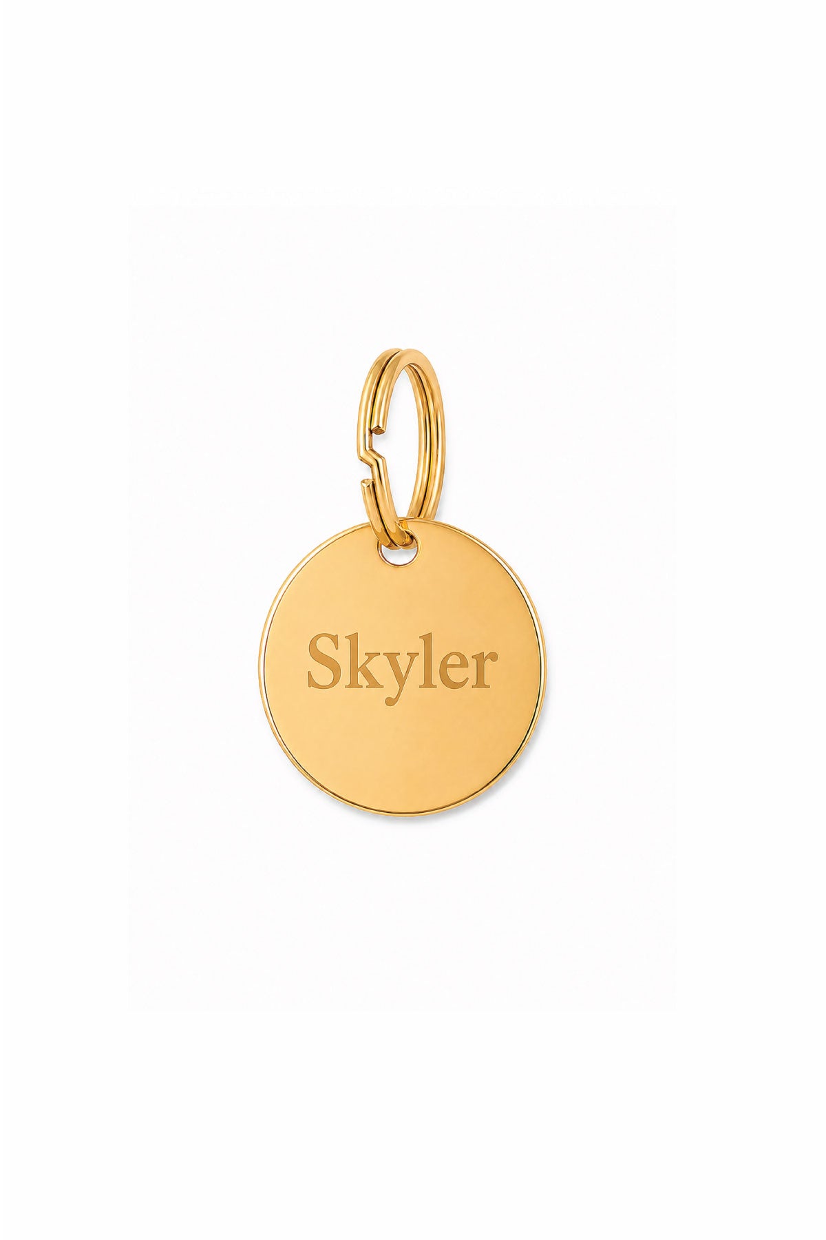 Engraved Pet ID Tag | Circle