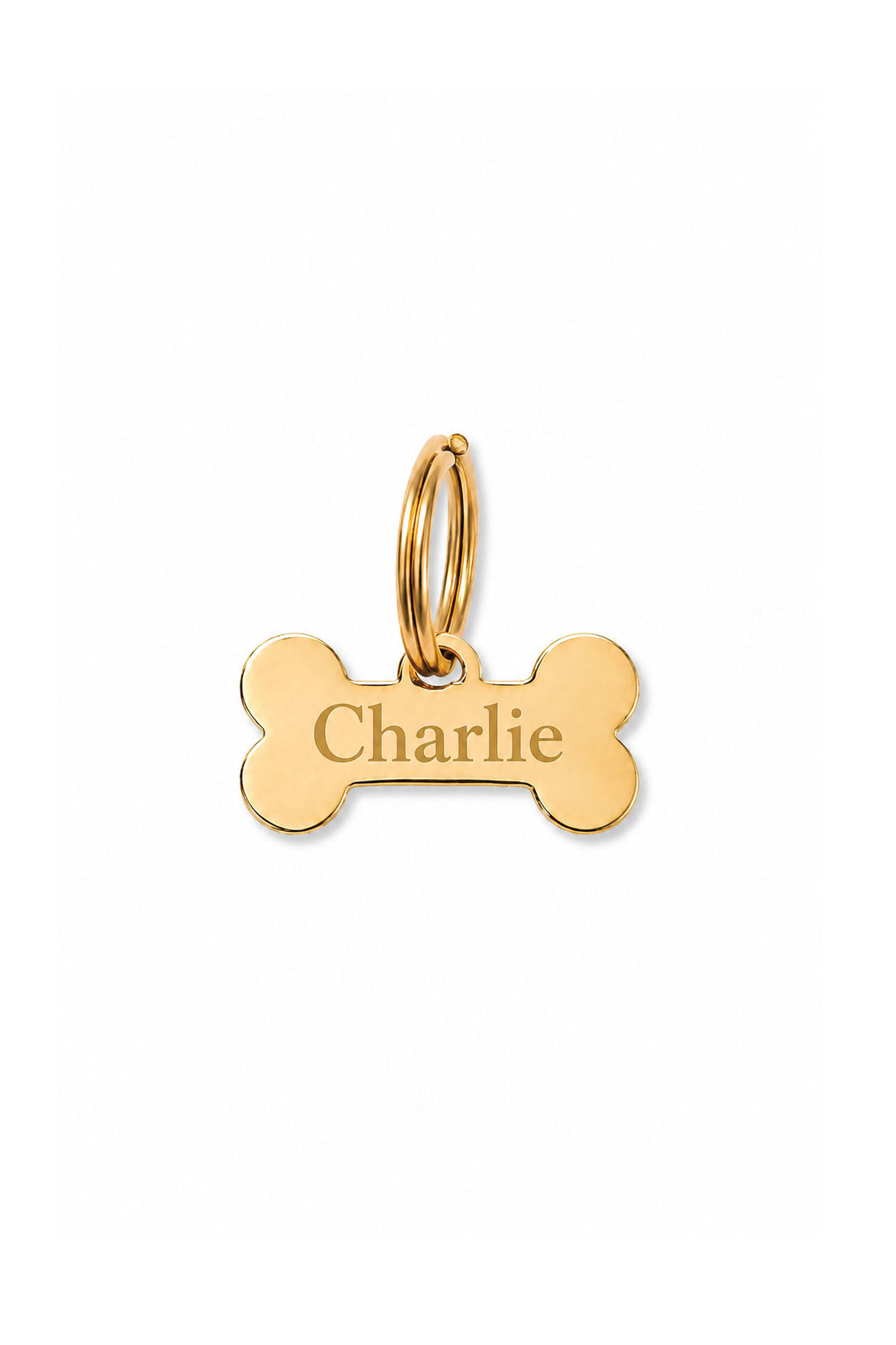 Gold bone-shaped engraved pet ID tag with sample name "Charlie" and gold O-ring, on white background