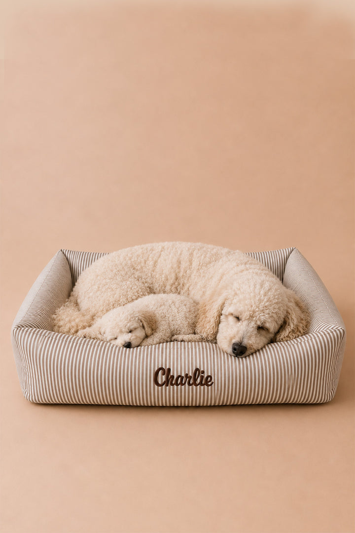 A cream-colored poodle puppy and a smaller dog sleeping together in a Lane & Leash beige and white striped dog bed with the name 'Charlie' embroidered on the front, set against a solid beige background.