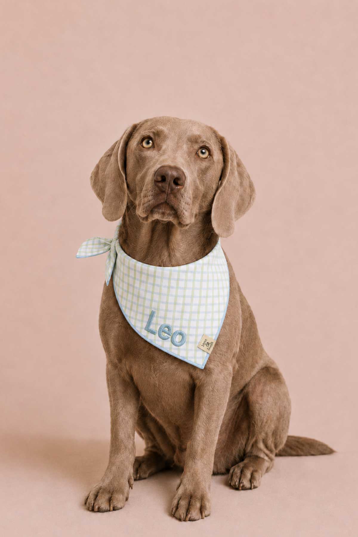 Embroidered Pet Bandana | Picnic Plaid