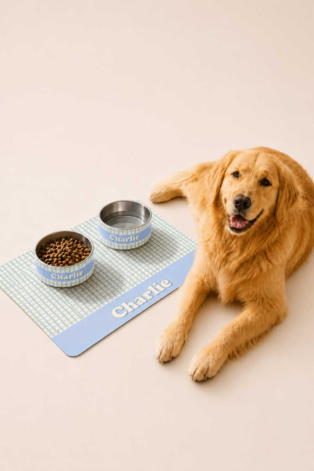 picnic plaid dog bowl and placemat with golden retriever 