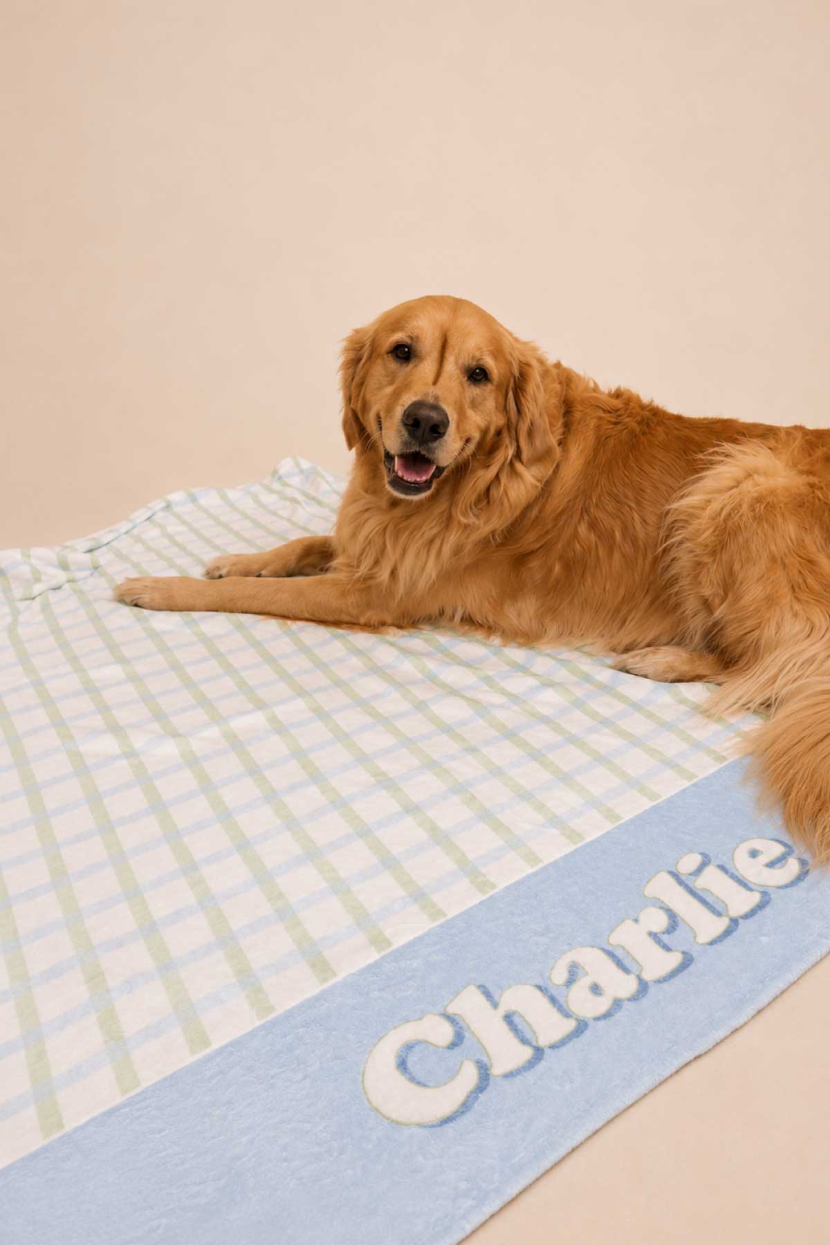Personalized Pet Blanket | Picnic Plaid