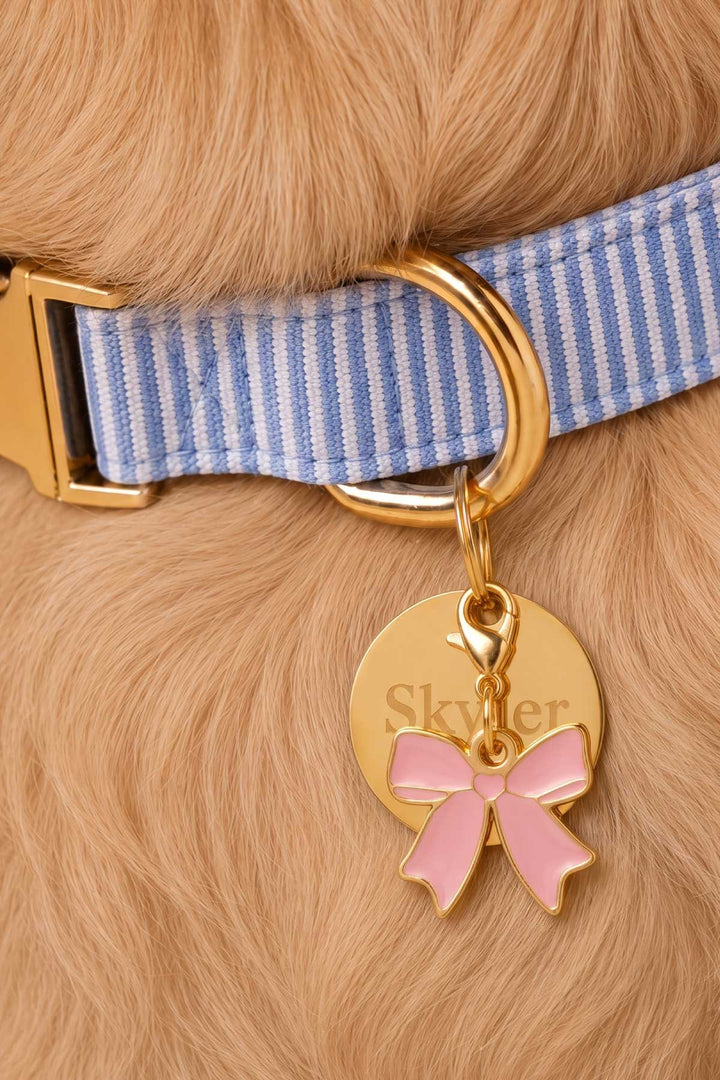 morning mist collar with pink bow charm and circle id tag