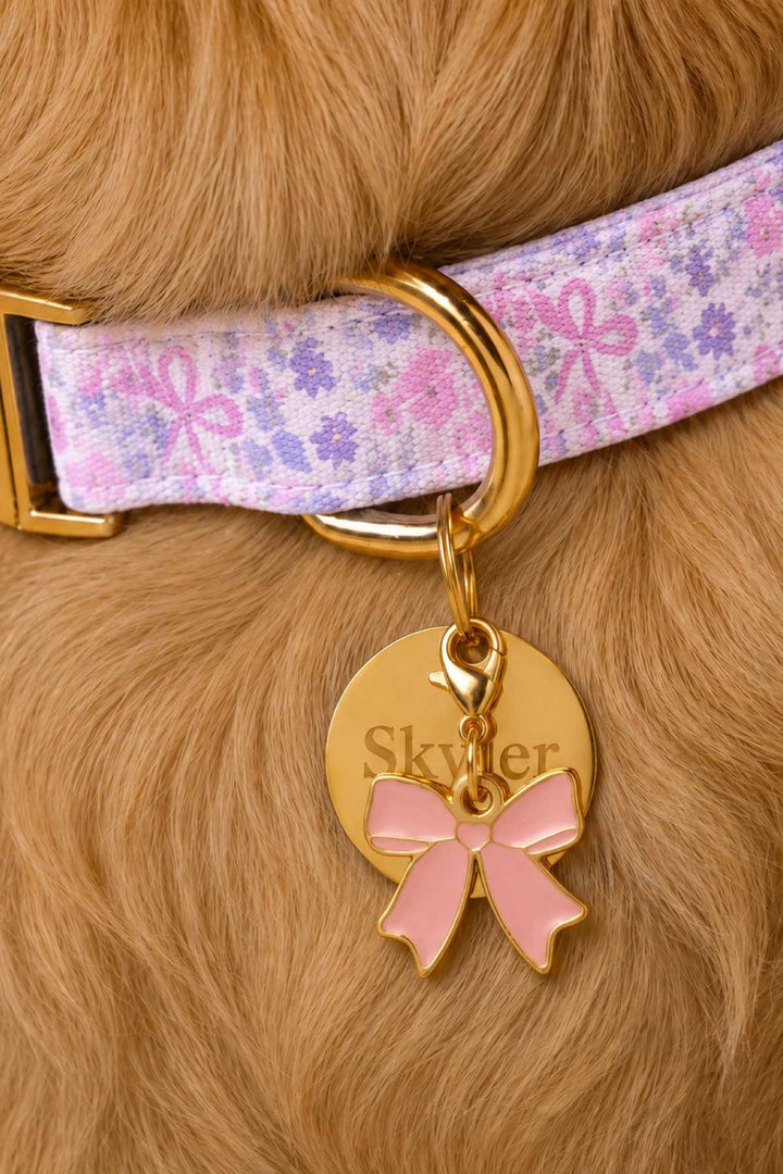ribbon garden collar, circle id tag and pink ribbon