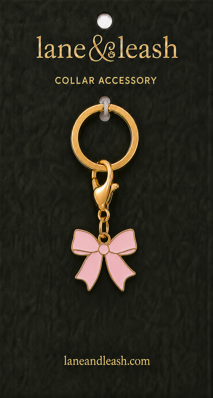 Pink bow Lane & Leash collar accessory charm on dark green packaging card with lobster claw clasp and jump ring