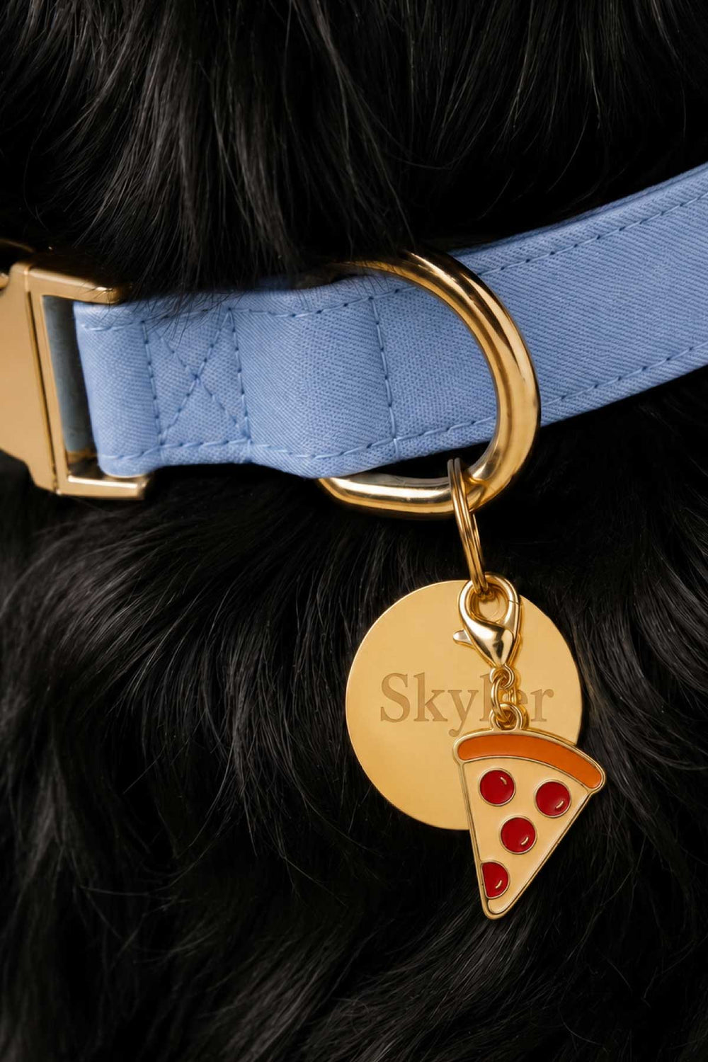 denim days collar with circle id tag and pizza charm