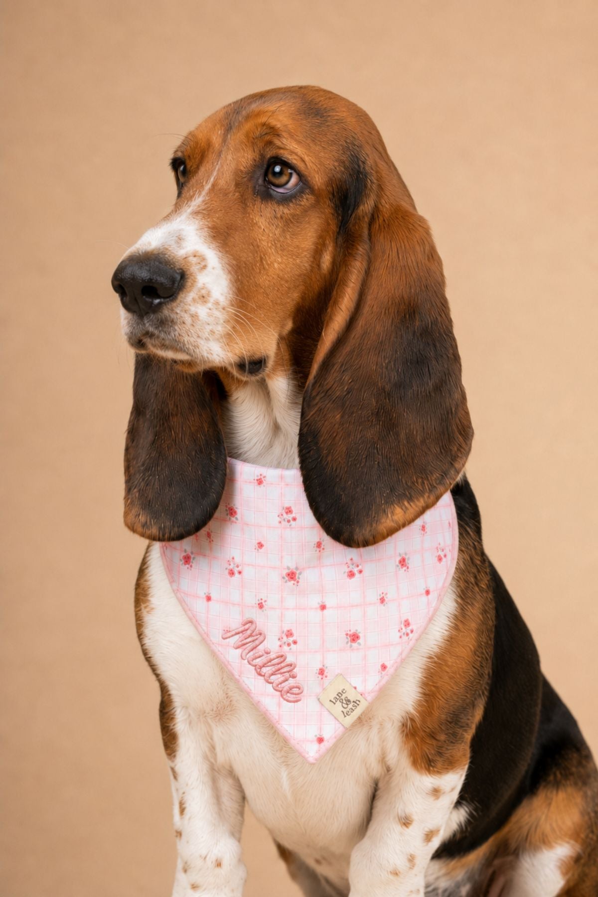 Pet Embroidered Bandana |  Primrose Plaid