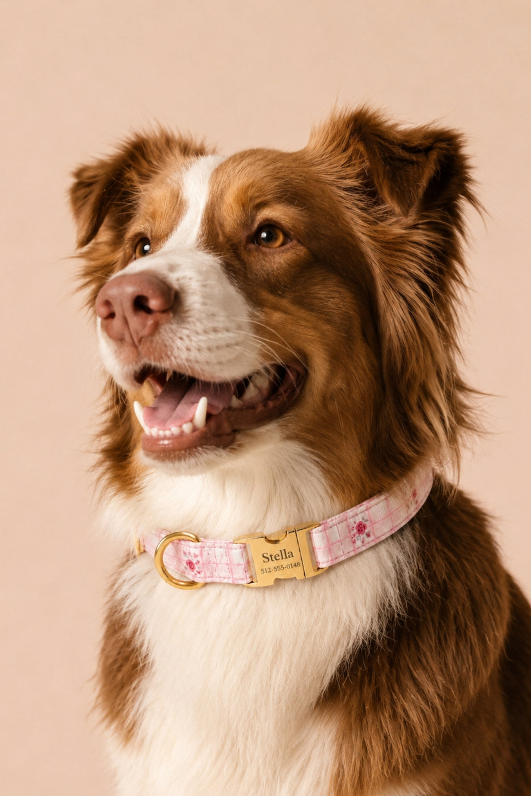 A close-up portrait of a brown and white dog wearing a Lane & Leash pink patterned fabric collar with a gold-tone metal buckle and a custom name plate that reads Stella Wellington.