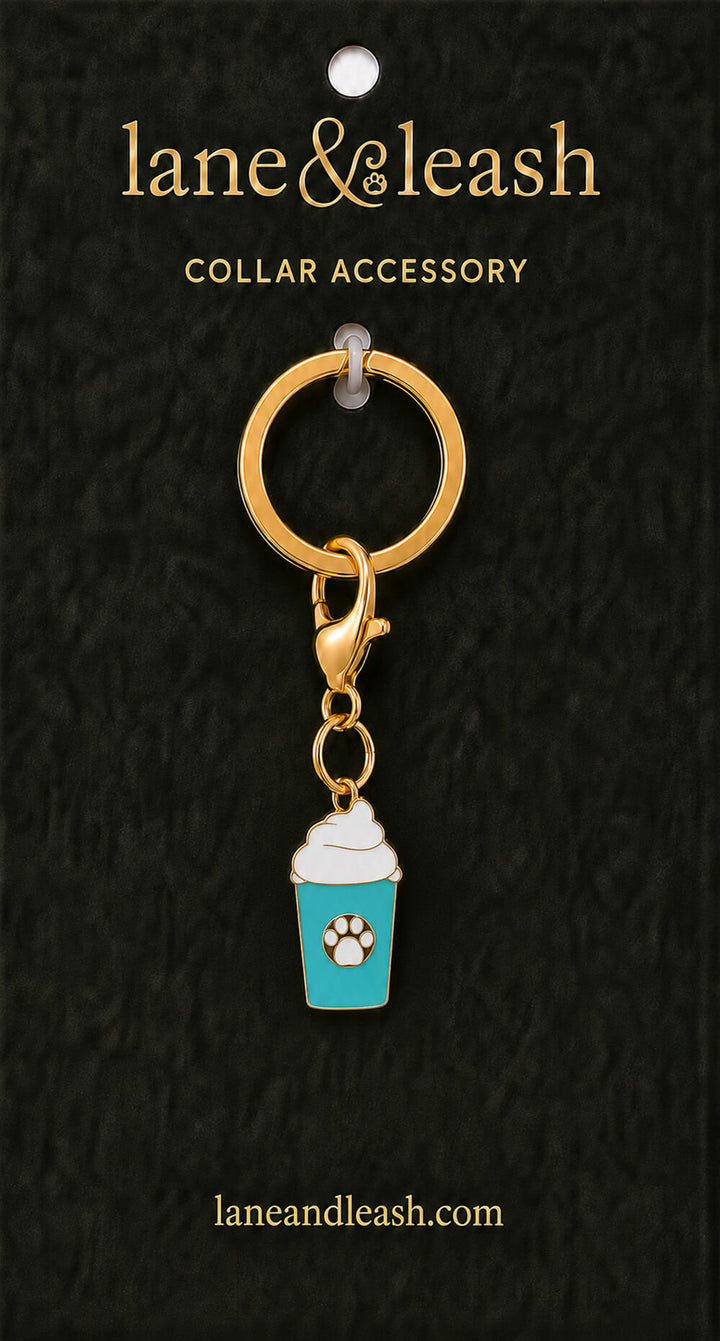 Teal pup cup Lane & Leash collar accessory charm displayed on dark green packaging card with lobster claw clasp and jump ring