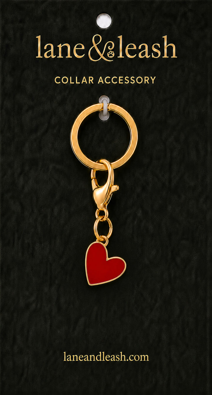 Red enamel heart Lane & Leash collar accessory charm displayed on dark green packaging card with lobster claw clasp and jump ring
