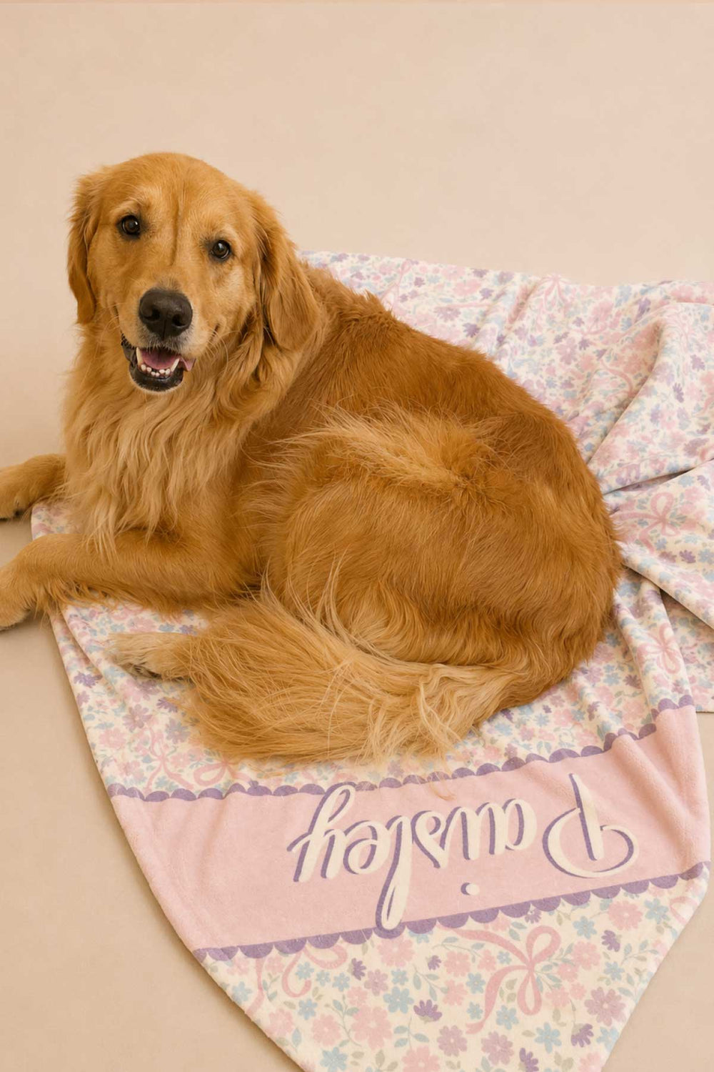 A golden retriever sitting on a Ribbon Garden personalized pet blanket with the name "Paisley" and a purple border stripe, on a warm beige studio background