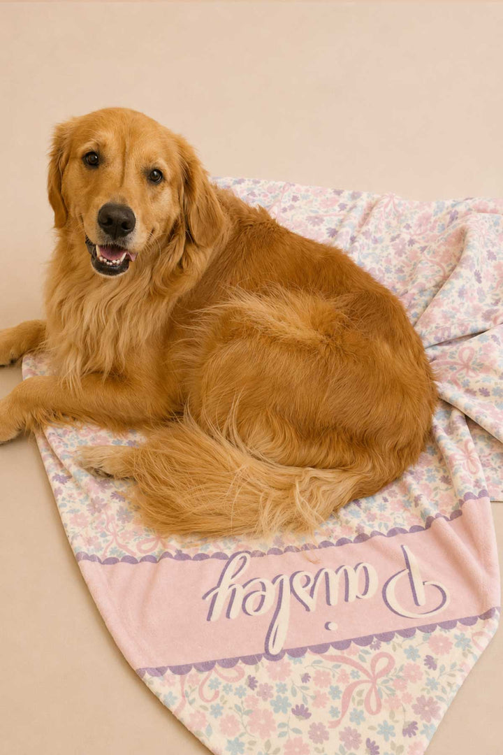 A golden retriever sitting on a Ribbon Garden personalized pet blanket with the name "Paisley" and a purple border stripe, on a warm beige studio background