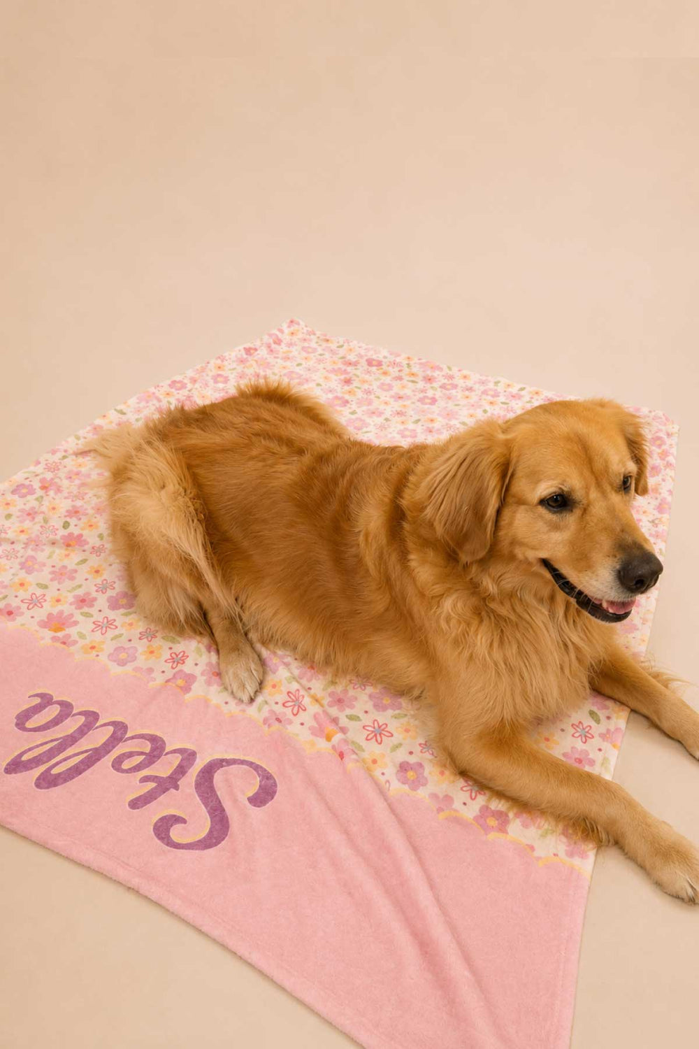 Golden retriever dog lying on a personalized Scattered Blooms pet blanket with pink floral print and pink panel with pet name