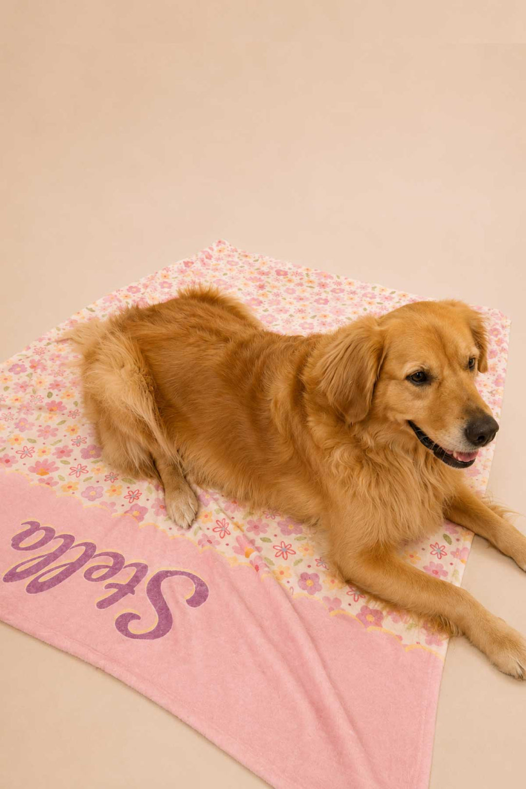 Golden retriever dog lying on a personalized Scattered Blooms pet blanket with pink floral print and pink panel with pet name