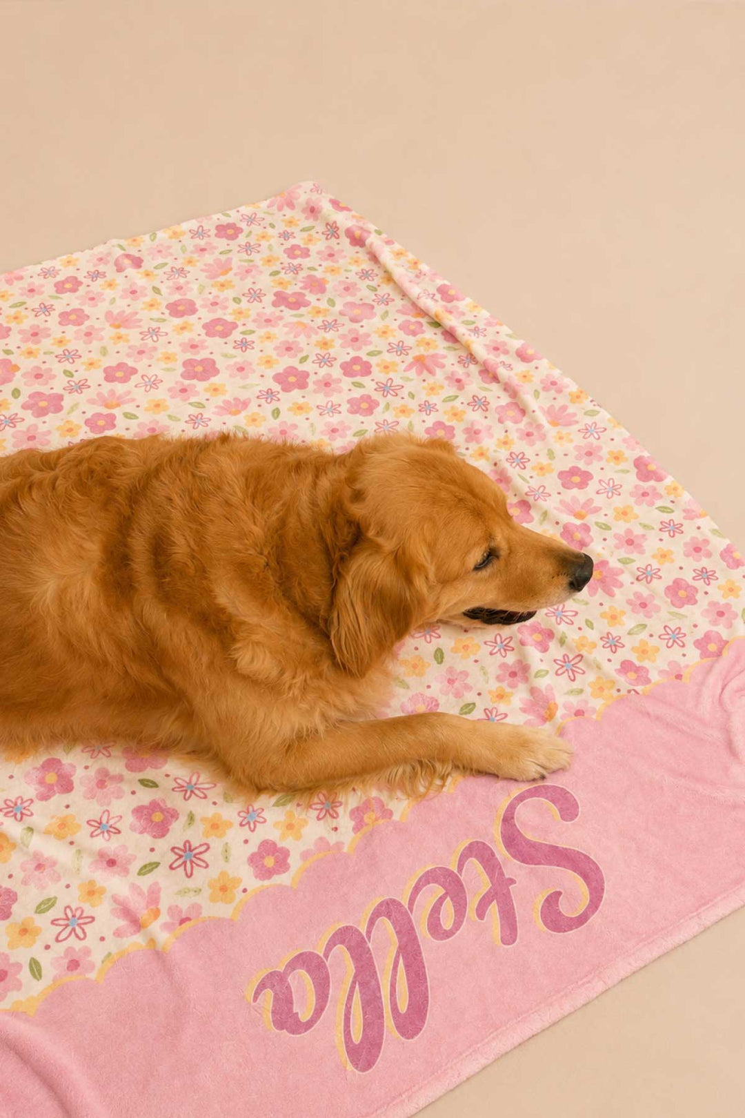 Golden retriever lying on a Scattered Blooms personalized pet blanket, showing the colorful pink, purple, and yellow floral print with pink personalized name panel